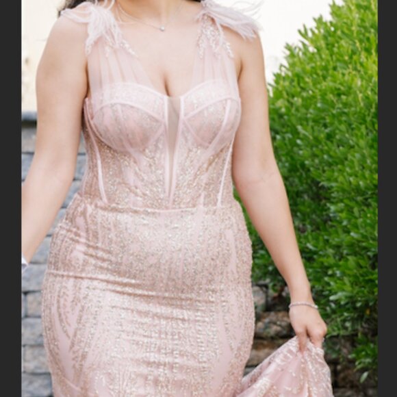 Cinderella Divine Rose Gold/Pink Dress